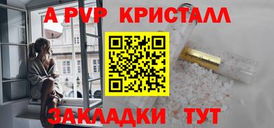 тгк Кингисепп