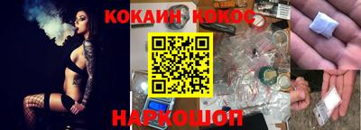 тгк Кингисепп