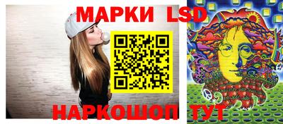 тгк Кингисепп