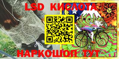 тгк Кингисепп