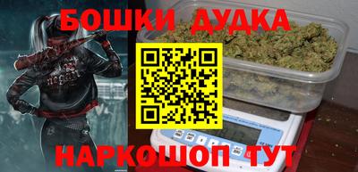 тгк Кингисепп