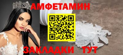 тгк Кингисепп