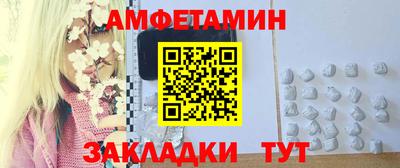 тгк Кингисепп