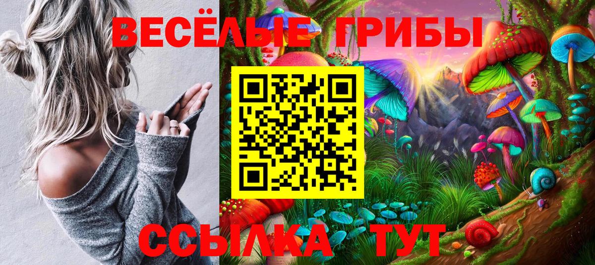Псилоцибиновые грибы прущие грибы Киров